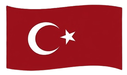 Middle East Flag